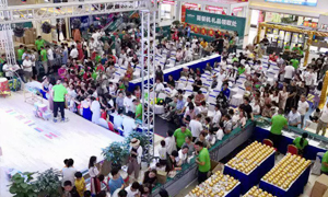 流程復(fù)盤(pán) 技巧相傳&mdash;安徽阜陽(yáng)店大型活動(dòng)流程培訓(xùn)圓滿完成 